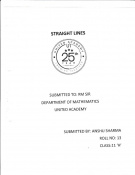 Project Work Report: Straight Lines 