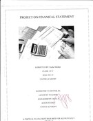 Project work of Accountancy Xii