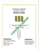 Project_Work_Of_English 11