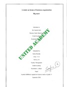 A_study-On_Forms_Of_Business_Organization_Big_Mart