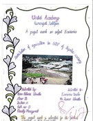 Project_Work_Of_Economics 11