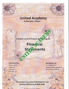 A_Project_Work_Of_Subject_Accounting_On_Financia_lStatement 12