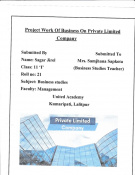 Project Work on Business in Private Limited Company