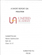 A Short Report on Pollution
