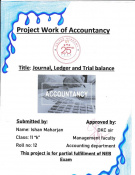 Project Work of Accountancy: Journal,Ledger and Traial balance